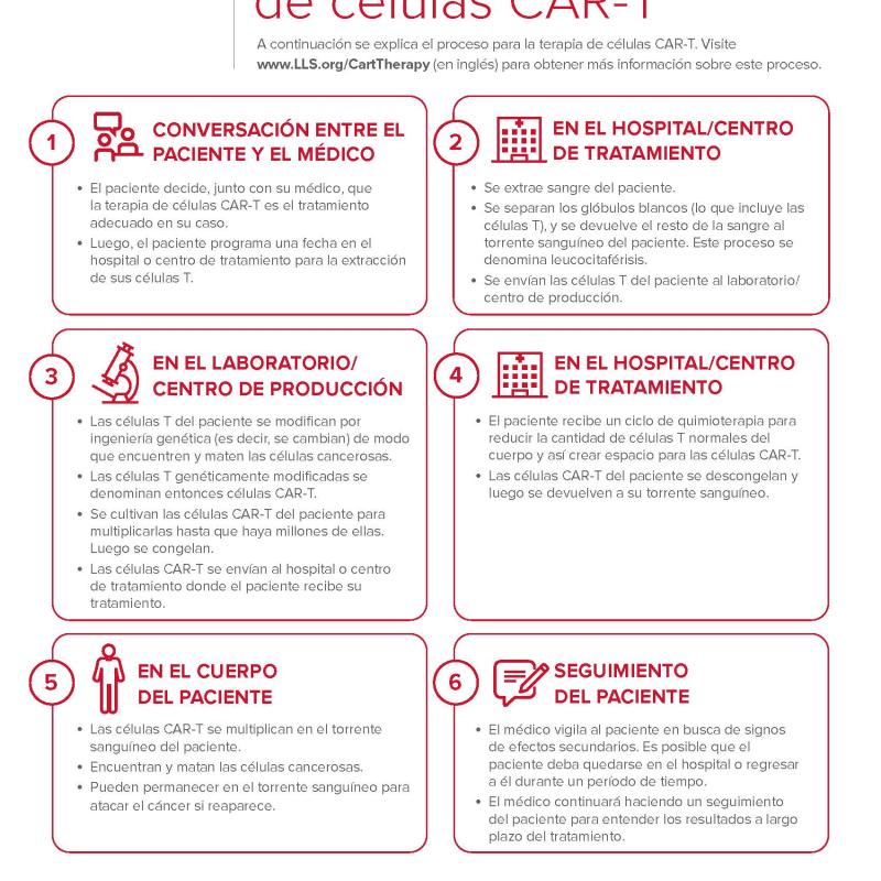 Proceso para la terapia de células CAR-T