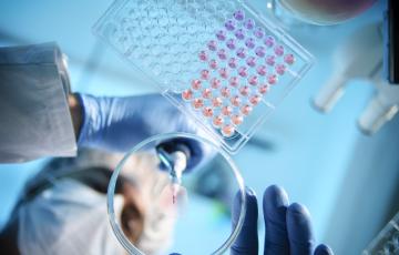 A scientist stands above a petri dish with a dropper and places a liquid solution on the dish.