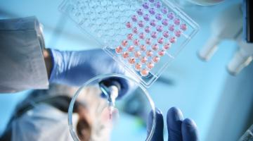 A scientist stands above a petri dish with a dropper and places a liquid solution on the dish.