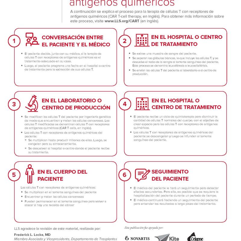 Proceso para la terapia de células T con receptores de antígenos quiméricos