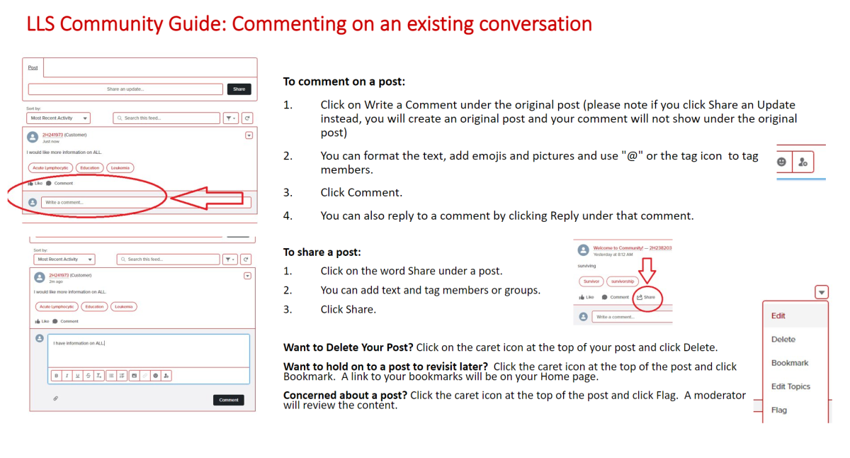 LLS Community Guide: Commenting on an existing conversation​