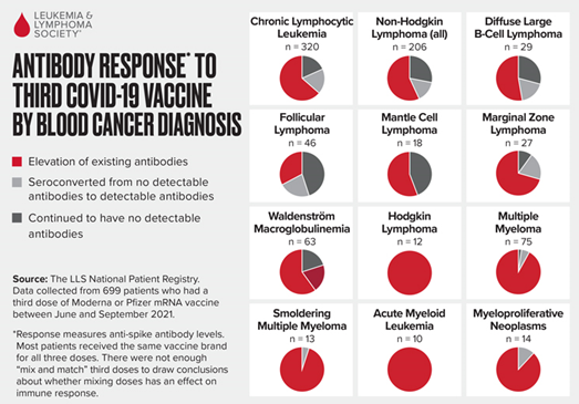 Largest Study To Date Demonstrates Most Blood Cancer Patients Benefit ...