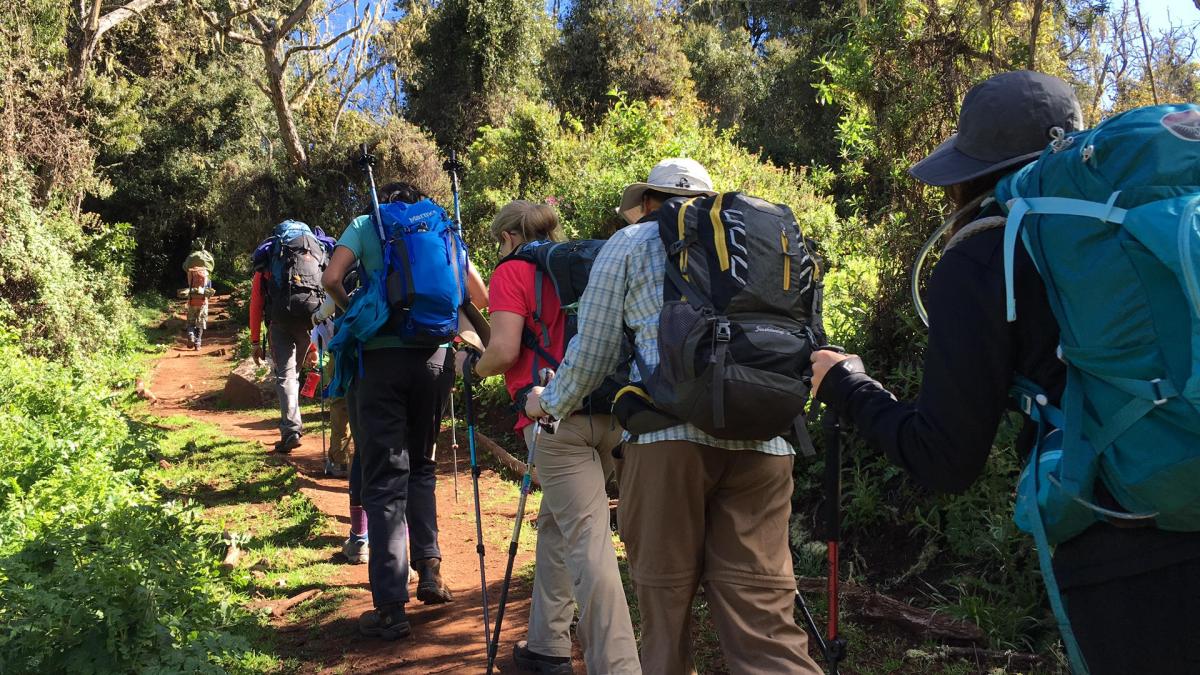 Climbing Mount Kilimanjaro