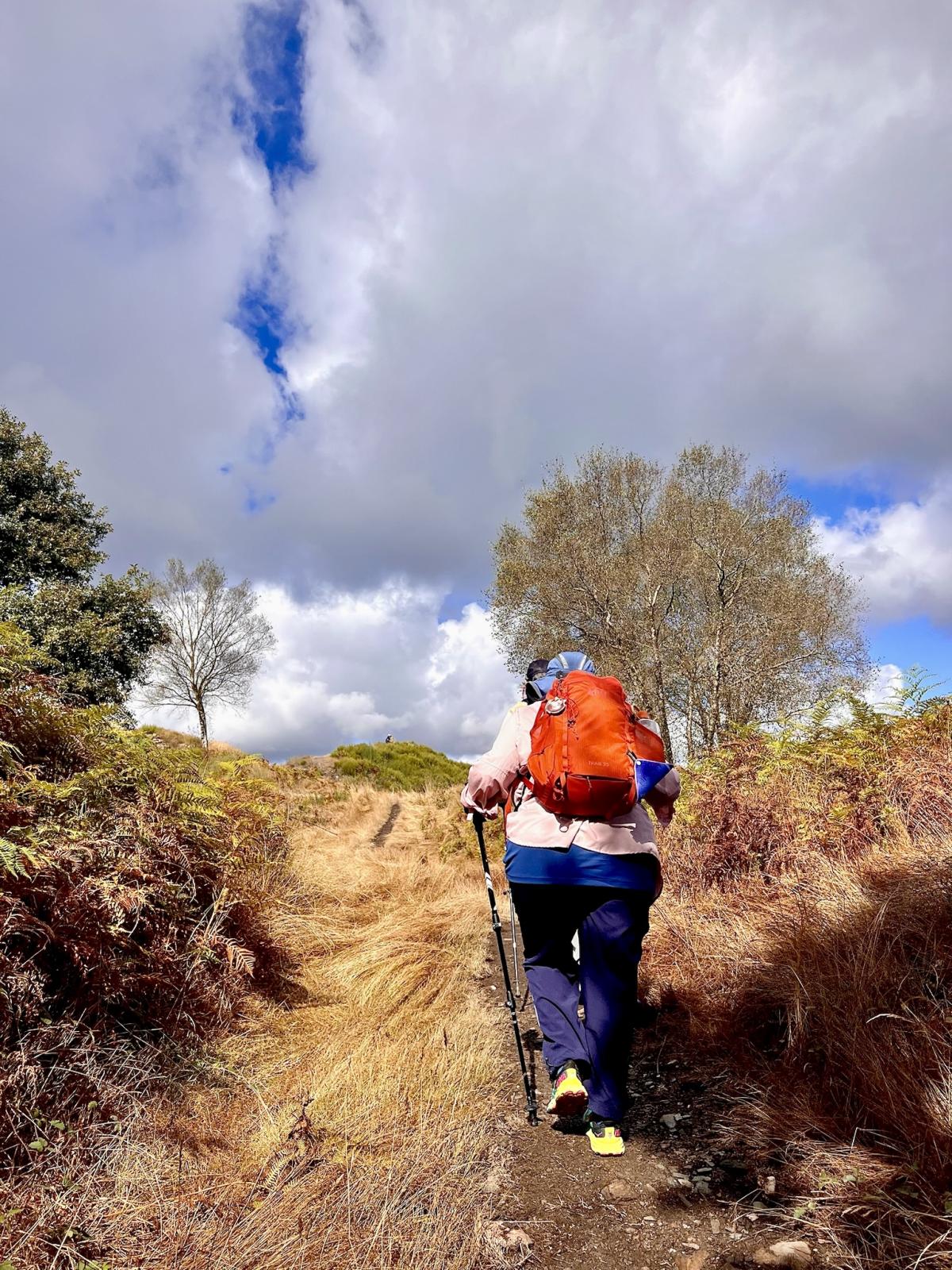 Kendra hikes up a hill with dense ferns and brush. She carries an orange backpack and is using trekking poles. Ahead, the sky is blue and cloudy.