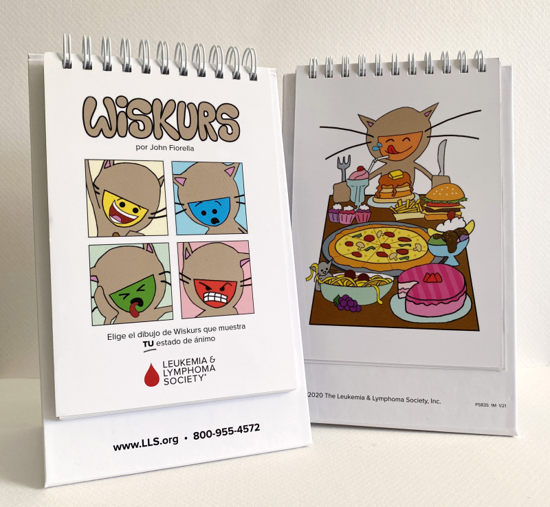 Libro de dibujos de las emociones de Wiskurs